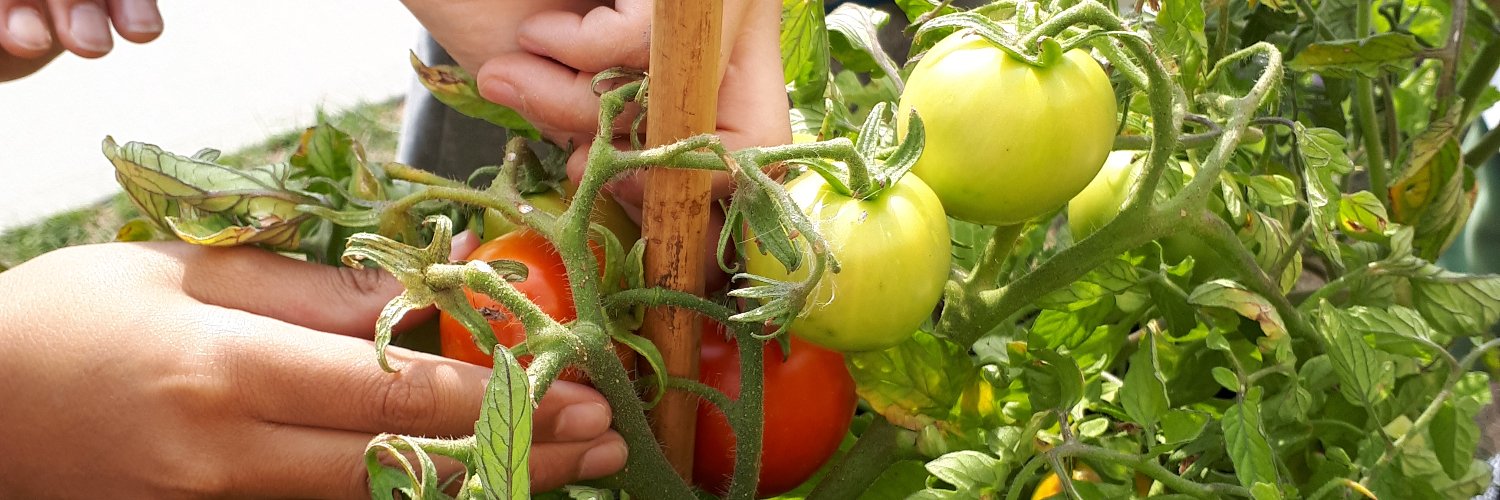 Karen Hanson 🌱 banner