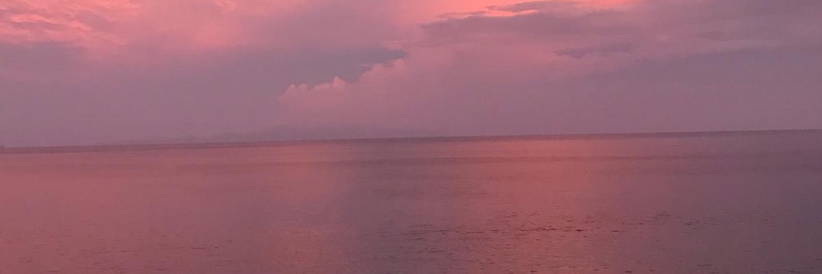 CharrAnnHolmes's profile banner image