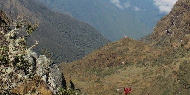 RSCoconnorb's profile banner image