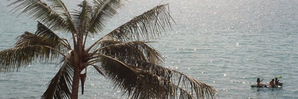 pxcyg Profile Banner
