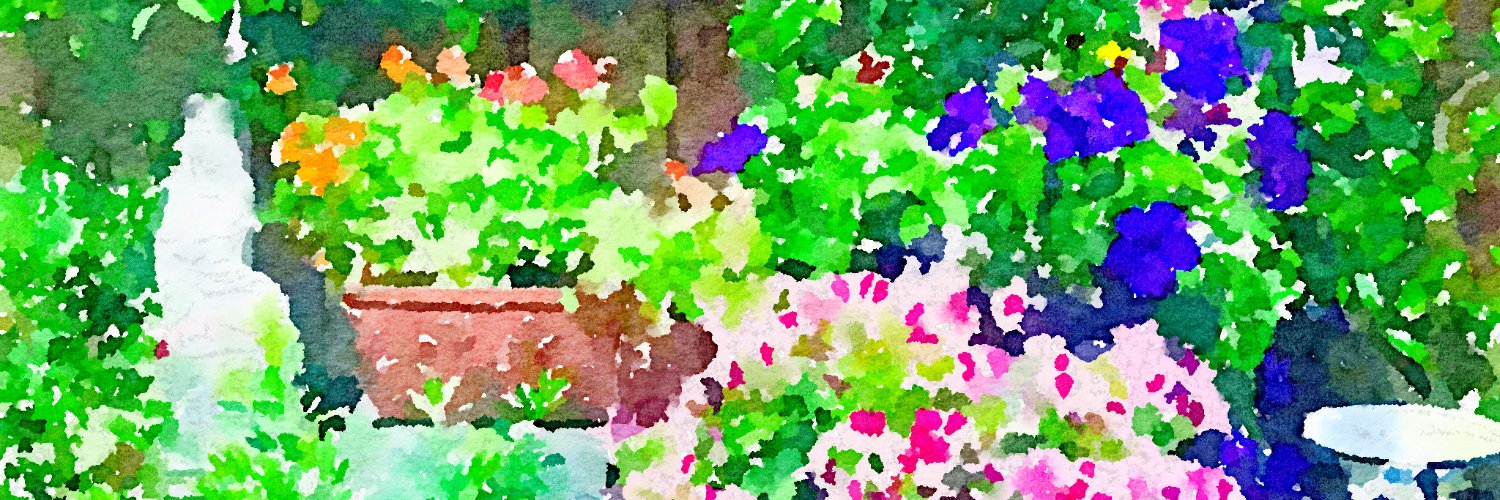 dianeda's profile banner image