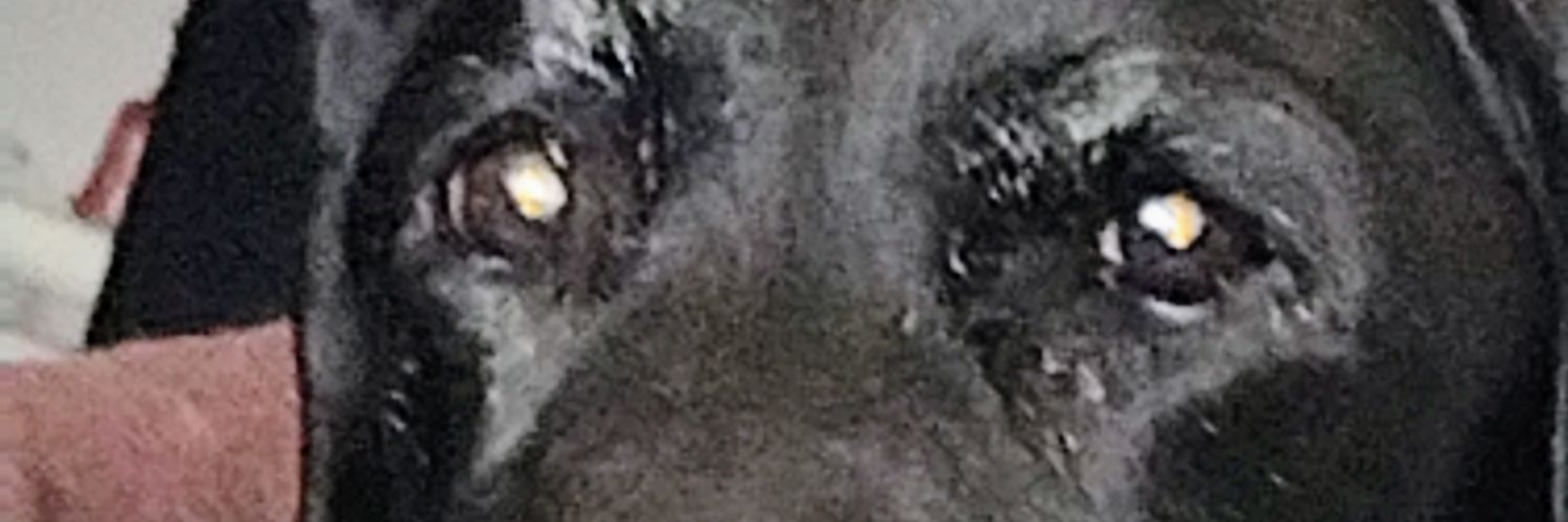nigelcox1961's profile banner image