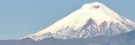 Alexander_ruzzo's profile banner image