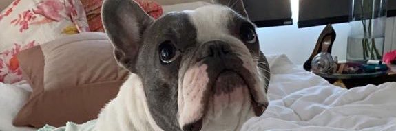karlafelli's profile banner image