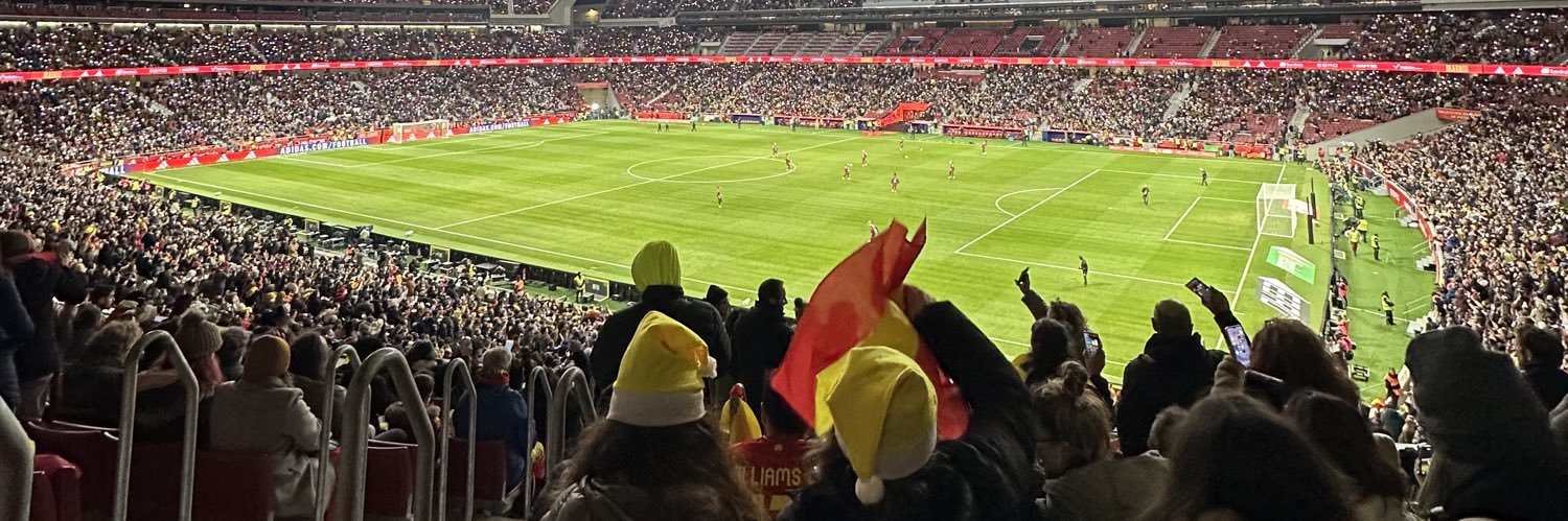 Gulfemkocaoglu's profile banner image