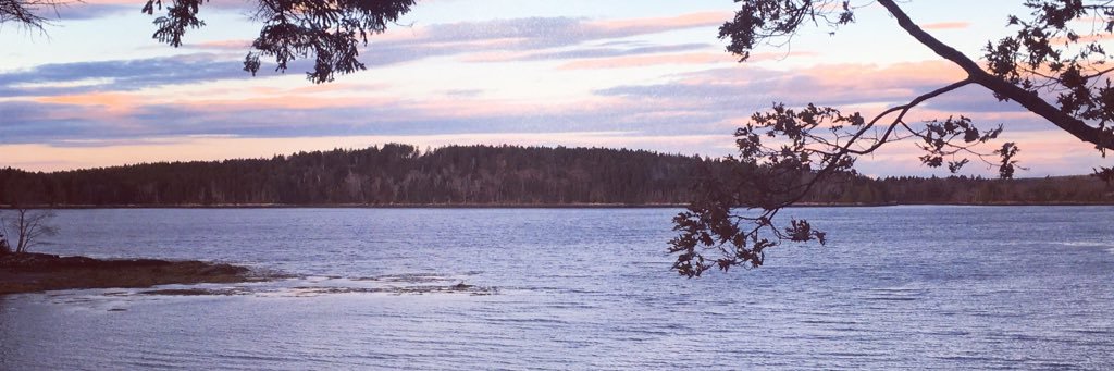 Mike Bomber🏀⚽️ banner