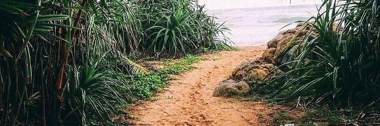fabulouschic13's profile banner image