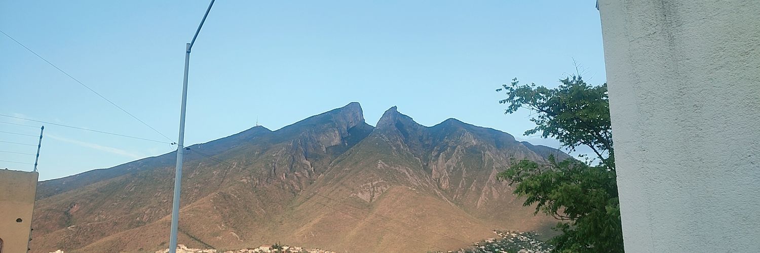 El Gallo Negro 🖤 banner