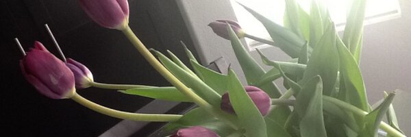 juleemomee Profile Banner