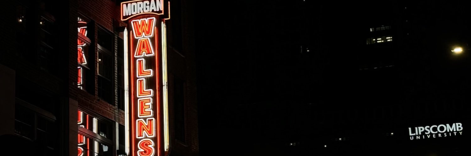 litzzykareli's profile banner image