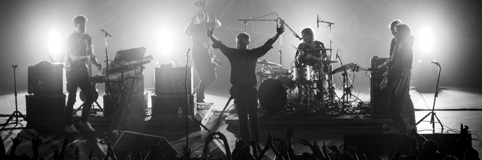 delusionalbee's profile banner image