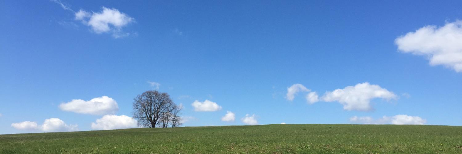 Bainzu87's profile banner image