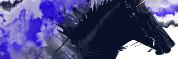 echoolocation Profile Banner