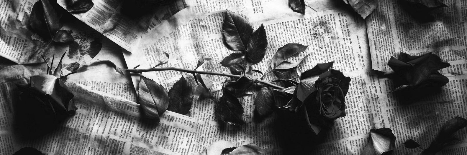 𝕸𝖆𝖑𝖎𝖓𝖆 🖤 banner