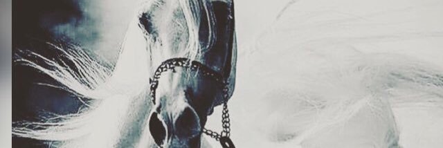 LAILA6000's profile banner image