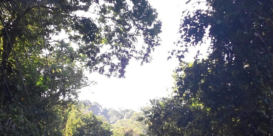 adamlm1999's profile banner image