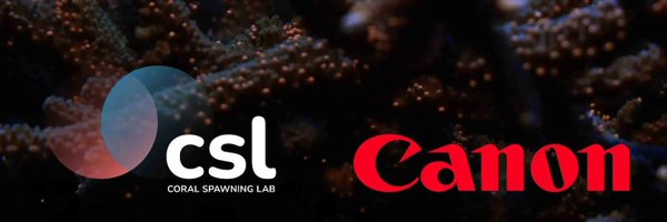 CoralSpawning Profile Banner