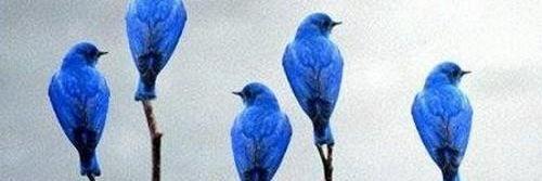 Sezai__Karakoc's profile banner image