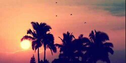 yassy1996's profile banner image