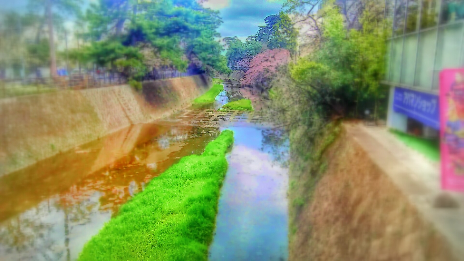mamirechoco's profile banner image