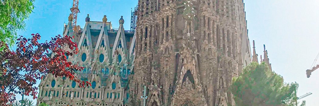 そーれ🍅4.5a!12TDC banner