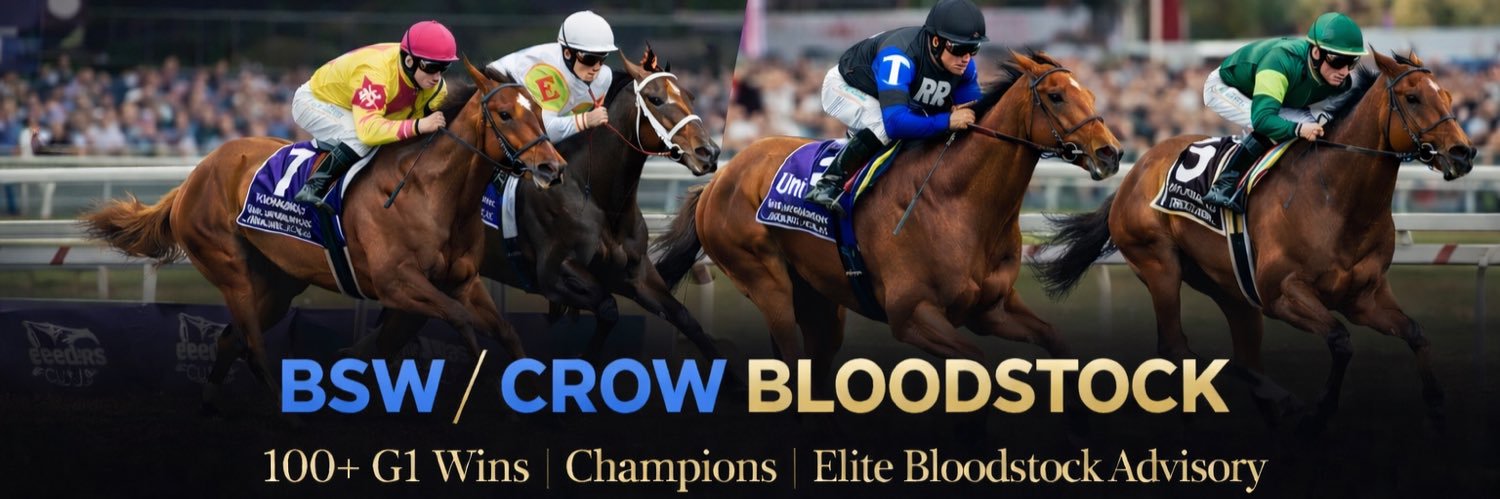 BSW/Crow Bloodstock banner