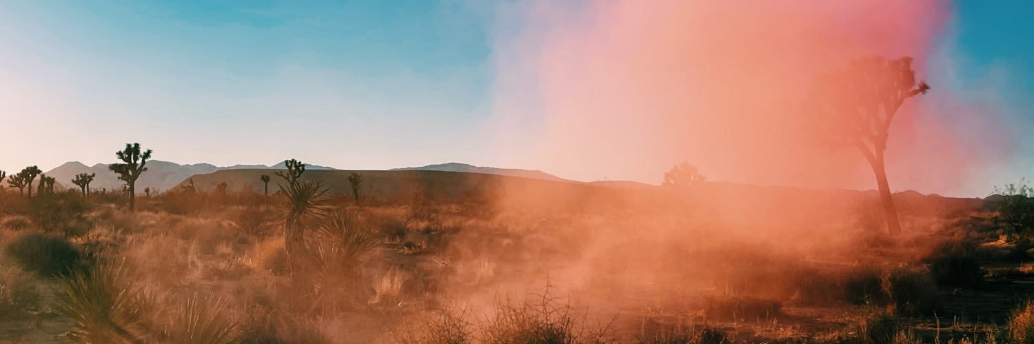 SarBear banner