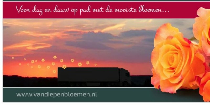 Benvdiepen's profile banner image