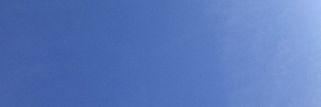Elena banner