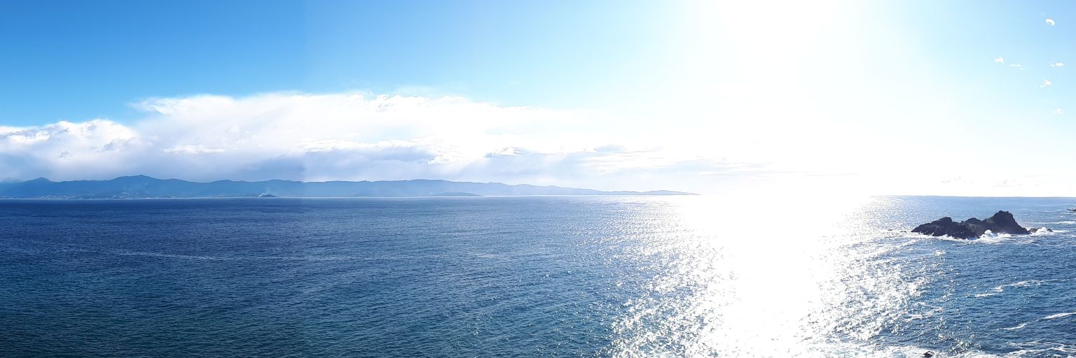 Scogliu_2B banner
