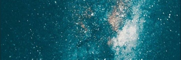 Marigonte11's profile banner image