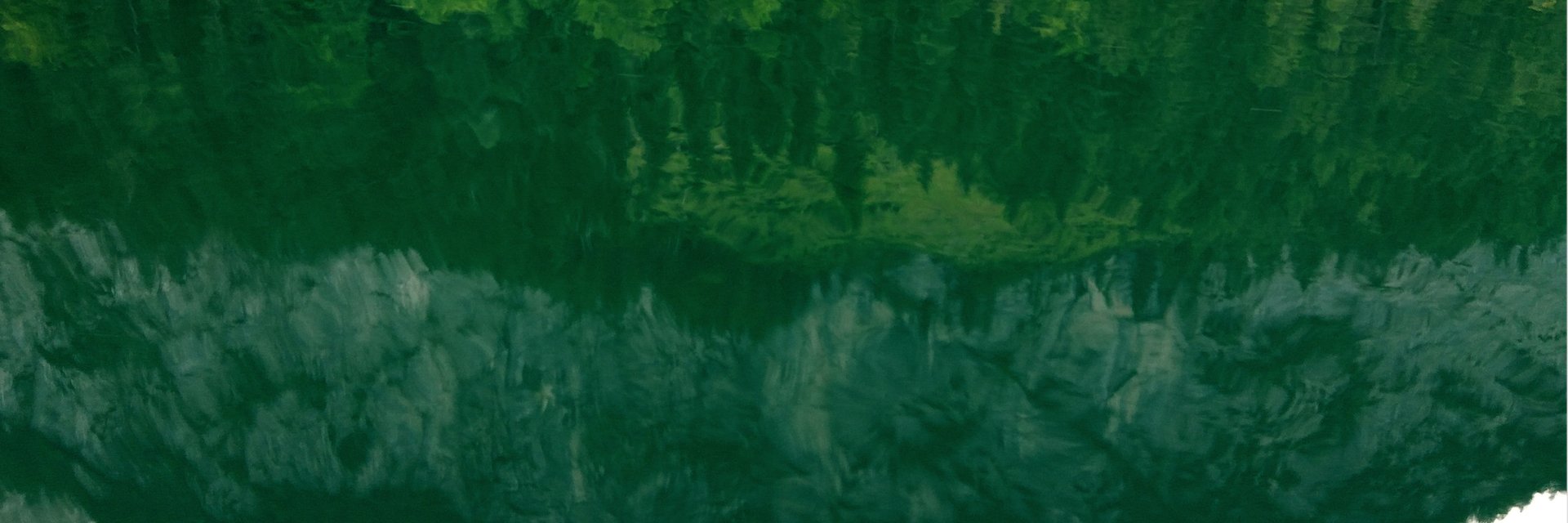 sofiahuca's profile banner image