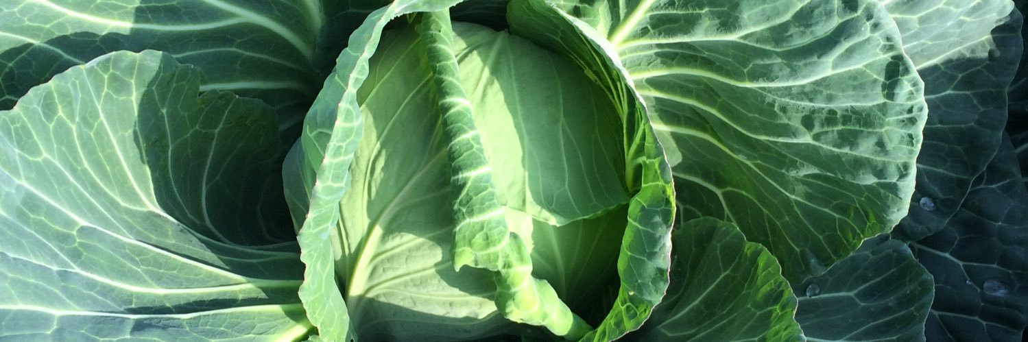 akabanebasi's profile banner image