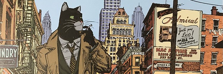 Dr. Raquel Buj banner