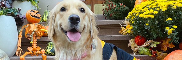 VENUS__6942 Profile Banner