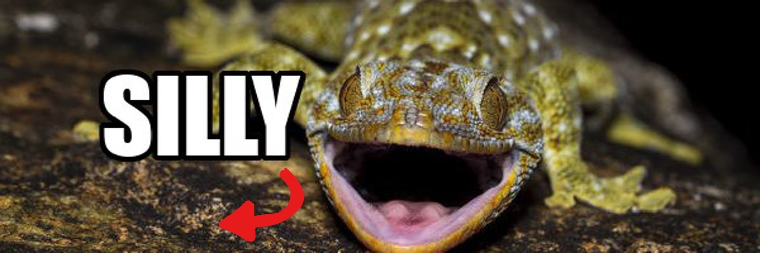 lobotomy enjoyer banner