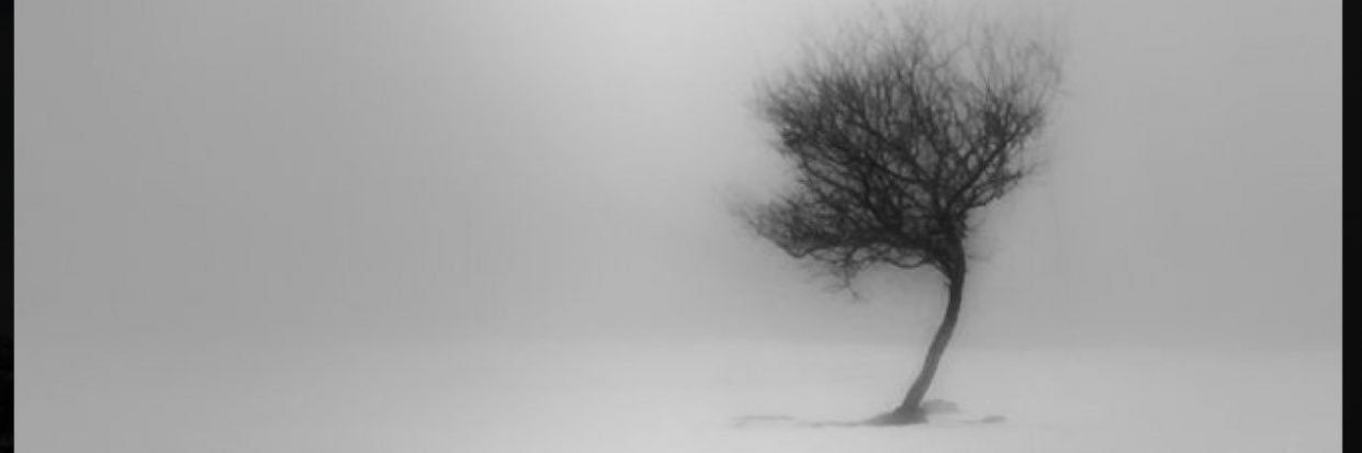 Hna67312003's profile banner image