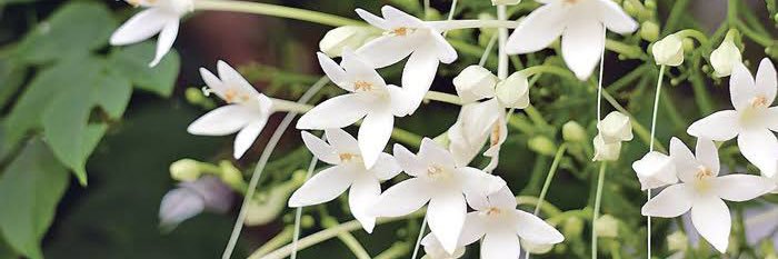 คุณเร้ก ❤️🪐 banner