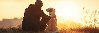 golberng's profile banner image