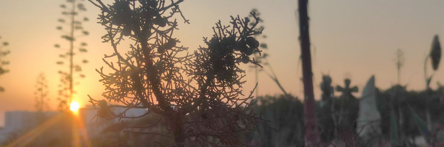 Kikivilus1's profile banner image