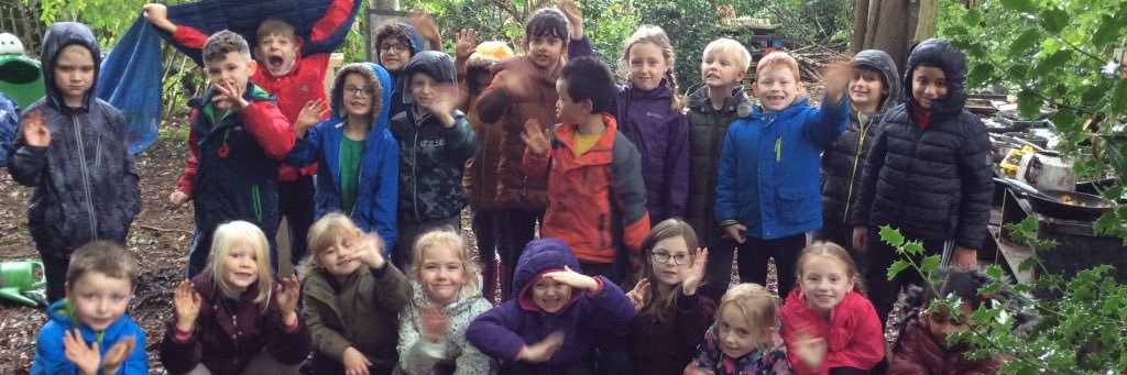 SeabridgeSchool's profile banner image