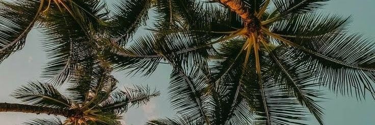 Majosanchezc2's profile banner image
