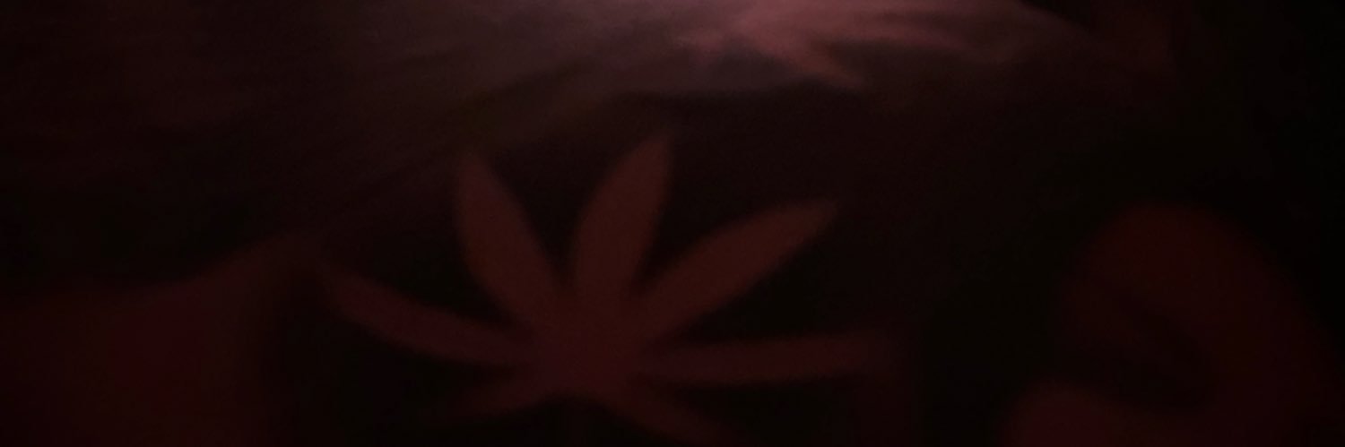 sodi banner