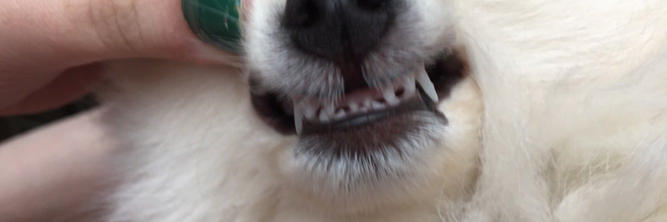 ChloeGriffinn's profile banner image