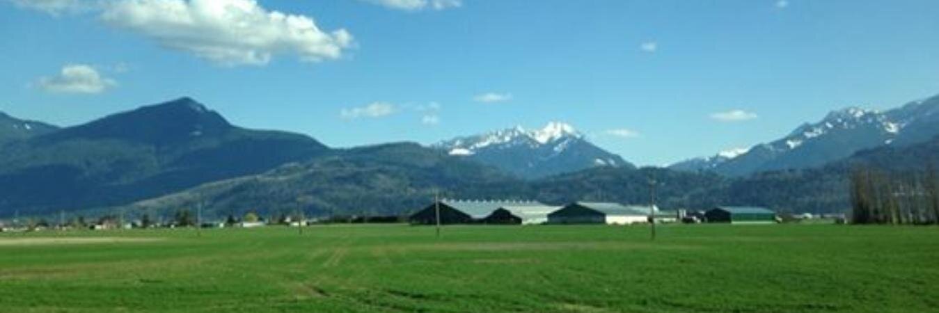 Lisa Stevens 🎙 banner