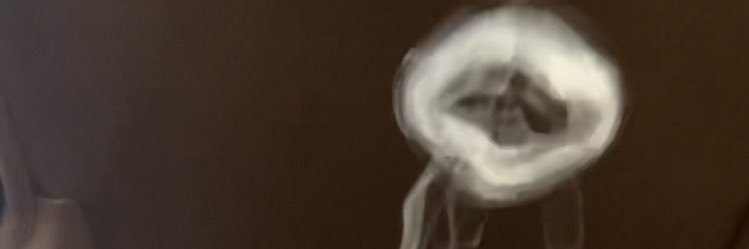 Bastard child👶🏾 banner