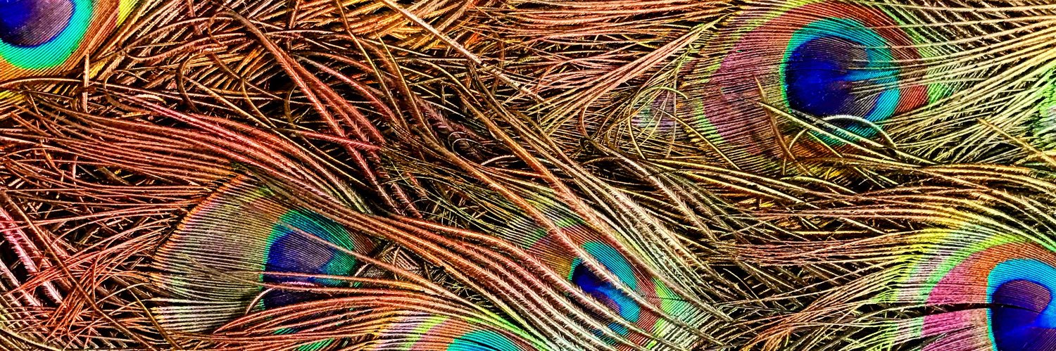 C R Y P T O T A S S I U M - ETH banner