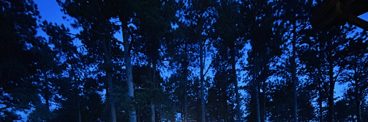NiraaaH8's profile banner image