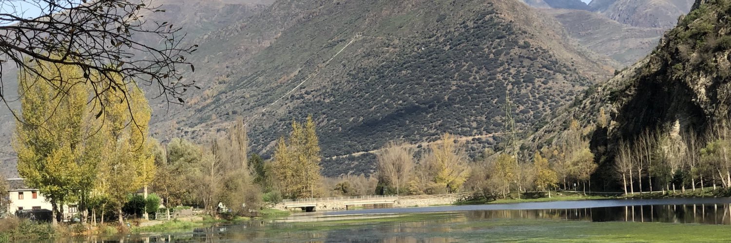 DTCMajorettee's profile banner image