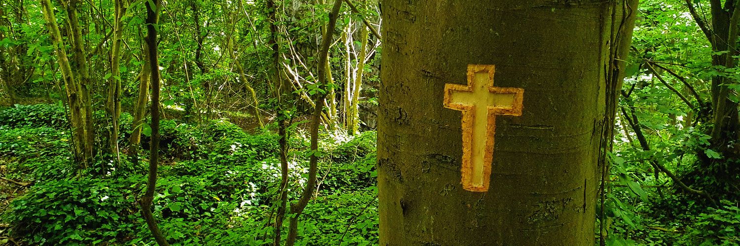 RED PILL MONKEY 🔴🐒 banner